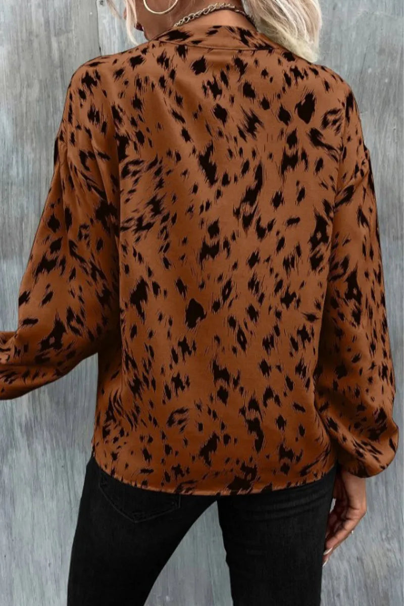 Women's Animal Print V Neck Long Sleeve Blouse