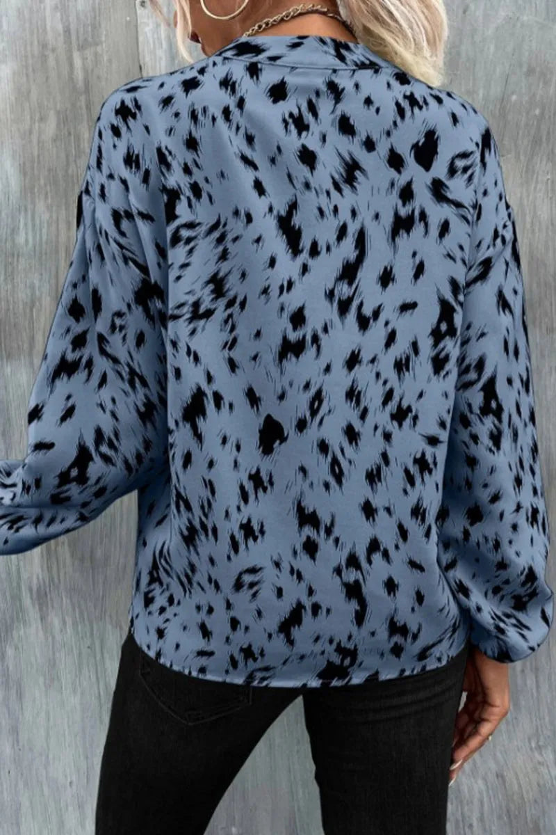 Women's Animal Print V Neck Long Sleeve Blouse