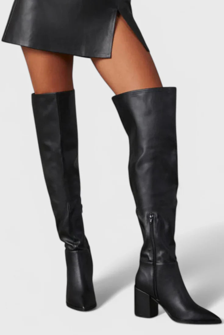 Women's Over the Knee Boots with Block Heel and Pointed Toe